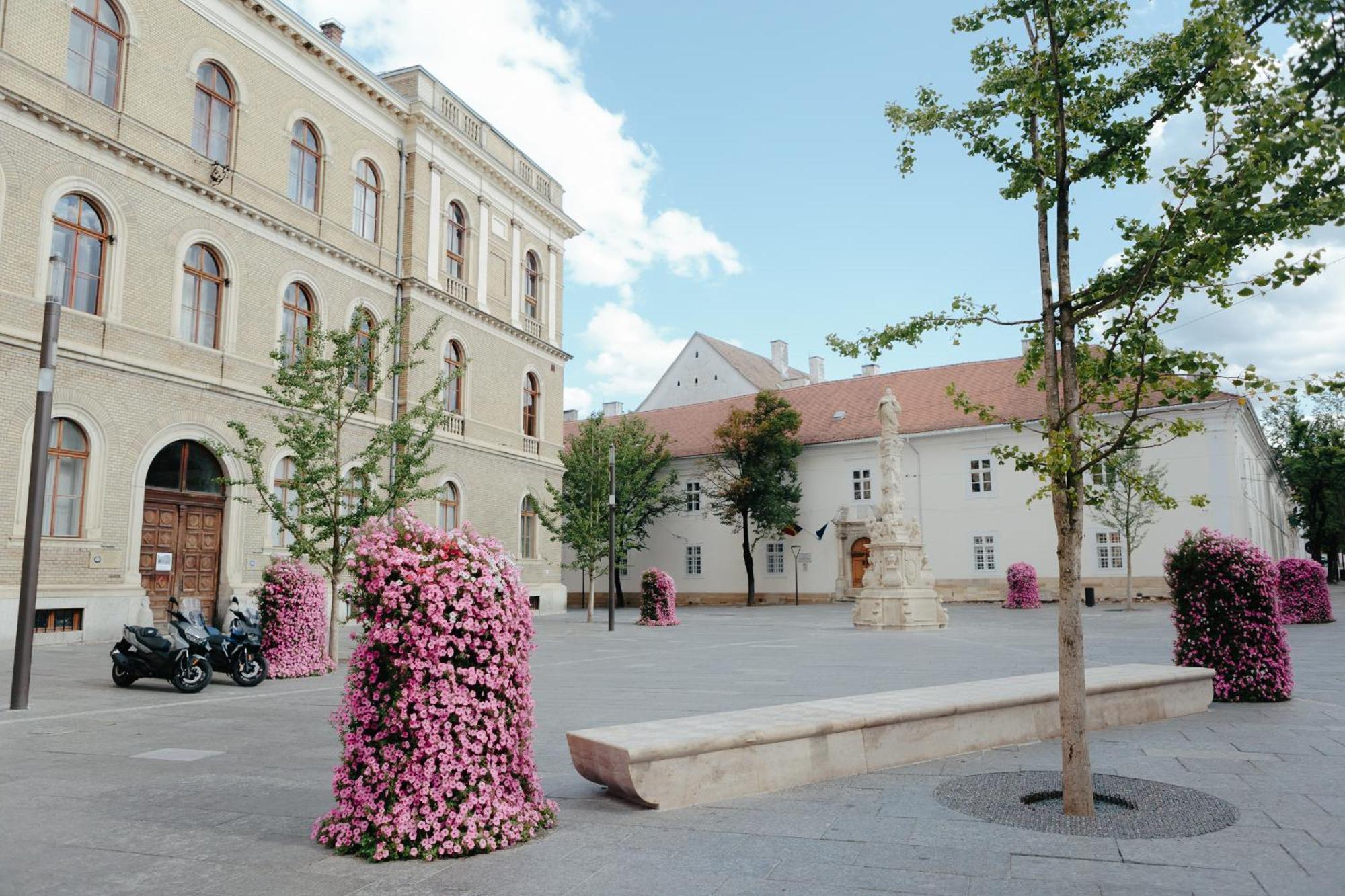 Contessa Apartment Cluj Napoca Exterior foto